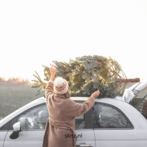 kerstboom-allergie
